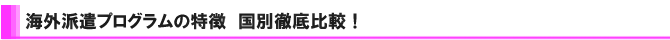 ���{�ꋳ�t�C�O�h���v���O�����@���ʓO���r
