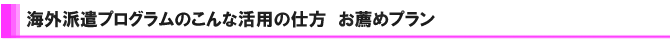 ���{�ꋳ�t�C�O�h���v���O�����@���E�߃v����