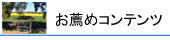 �����߃R���e���c